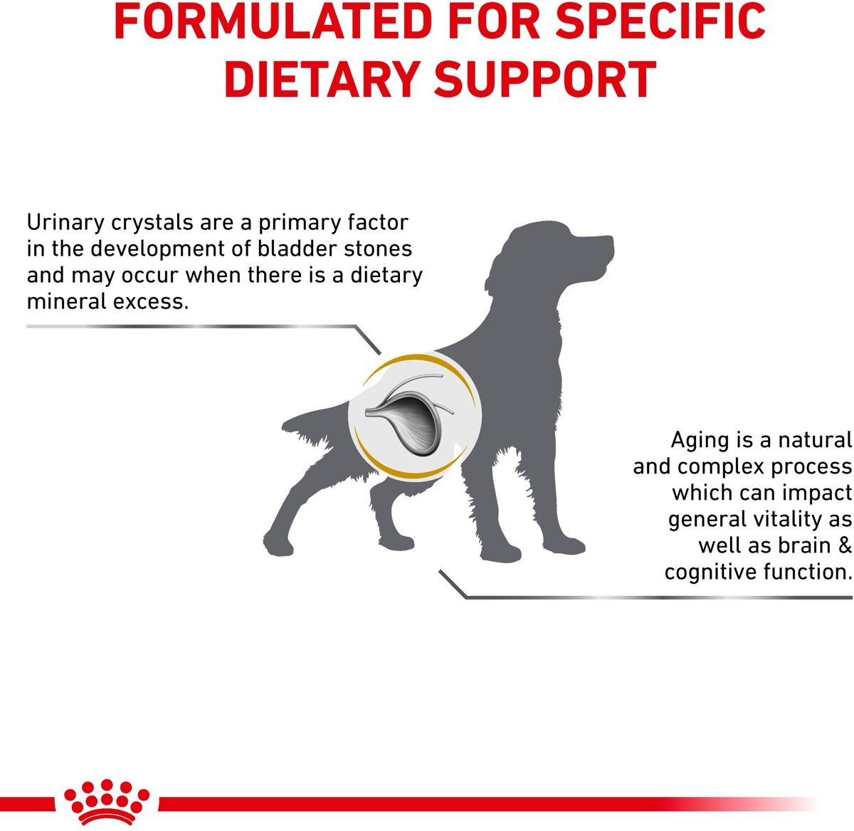 Royal Canin Veterinary Diet Adult Urinary SO Aging 7+ Dry Dog Food