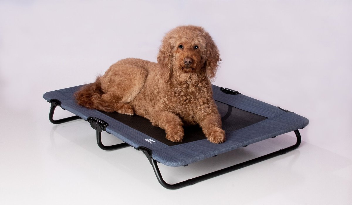 Pet Gear Pet Cot Dog Bed