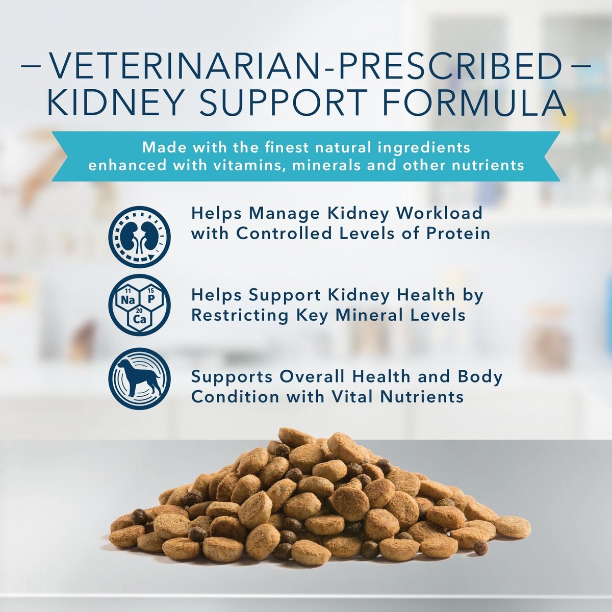 Blue Buffalo Natural Veterinary Diet KS Kidney Support Dry Dog Food