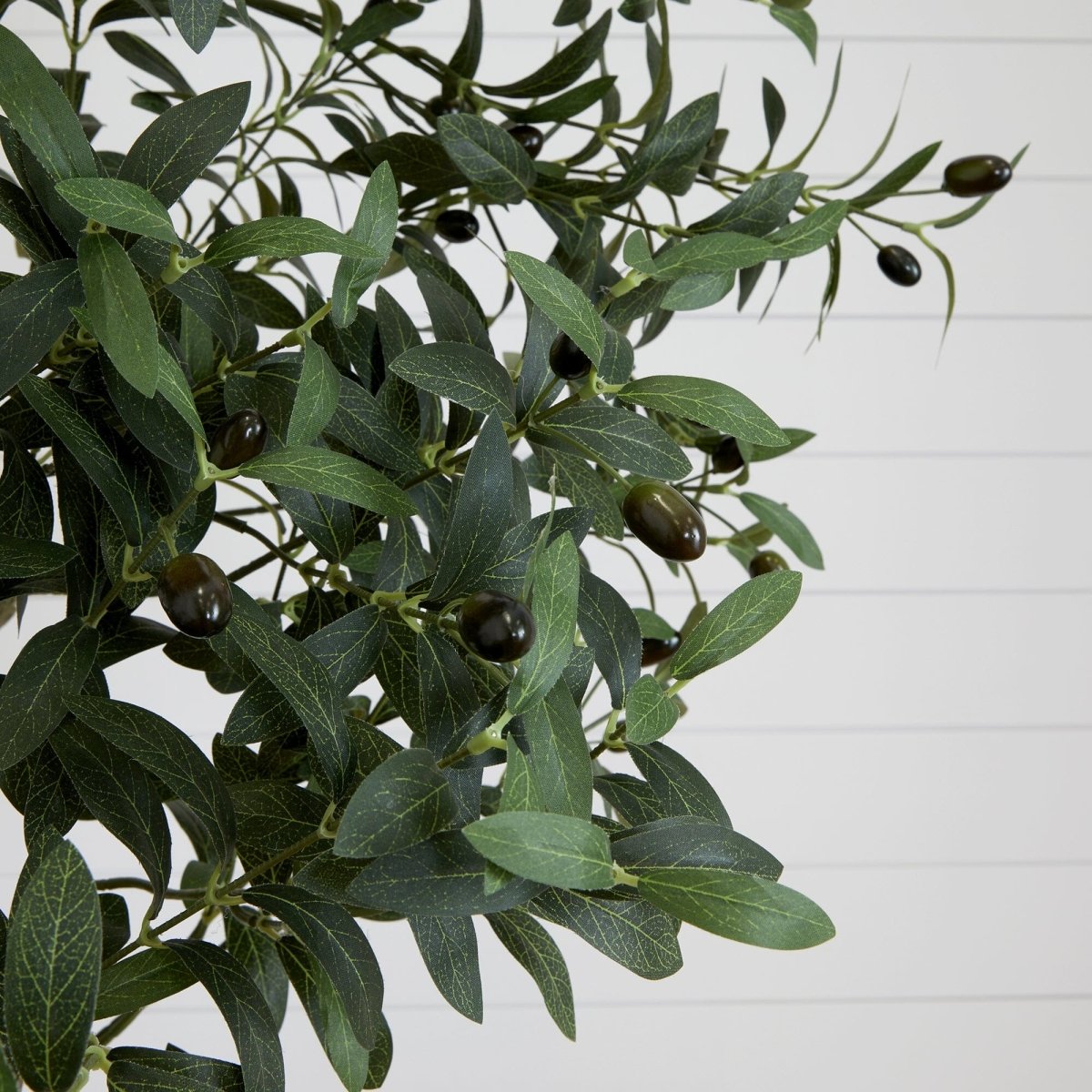 10' Faux Olive Tree | Mediterranean-Inspired Decor – Ed's Plant Shop