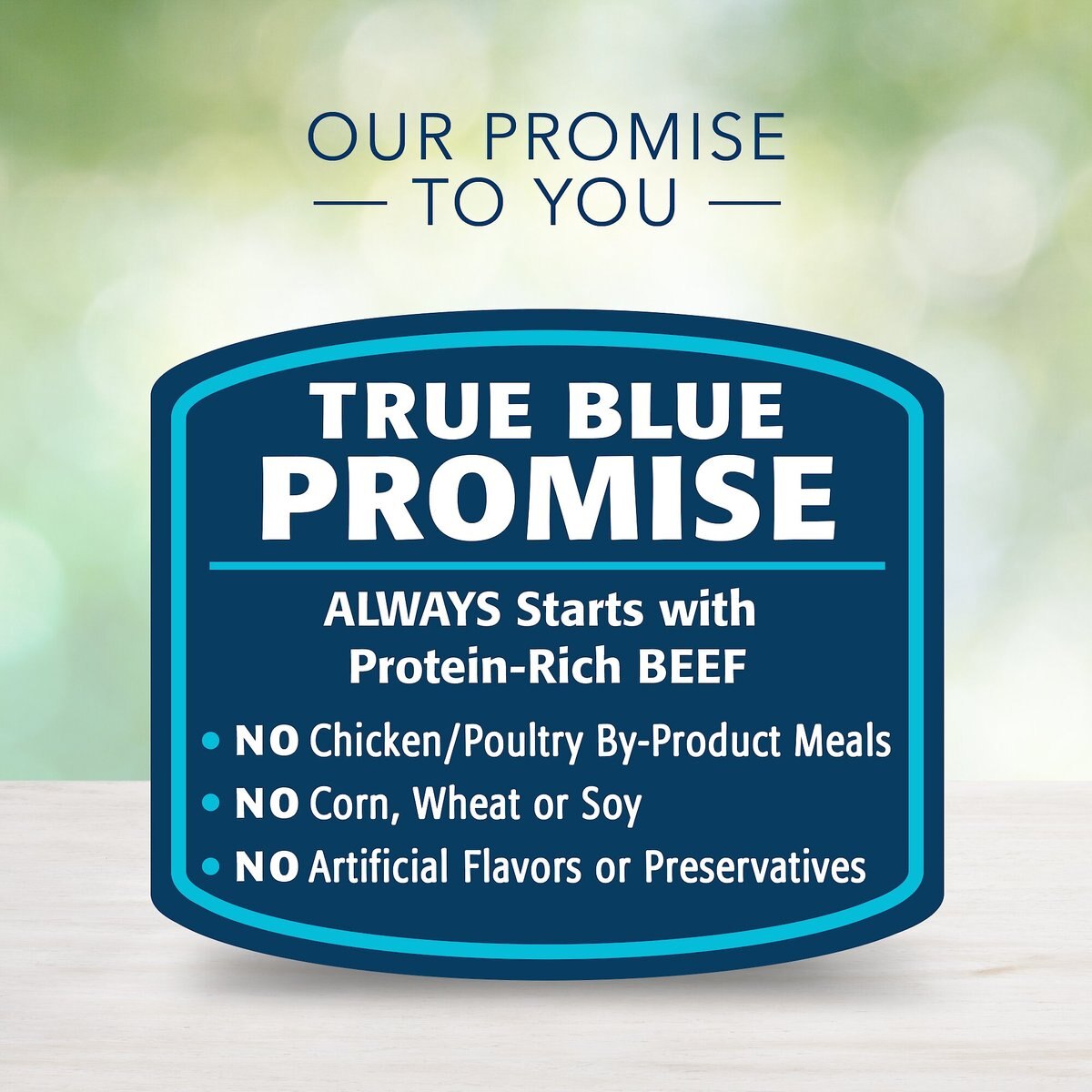 Blue Buffalo Freedom Adult Beef Recipe Grain-Free Canned Dog Food