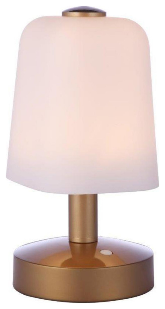 Rechargable Portable 1 Light Table Lamp  Painted Satin Brass   Transitional   Outdoor Table Lamps   by Buildcom  Houzz