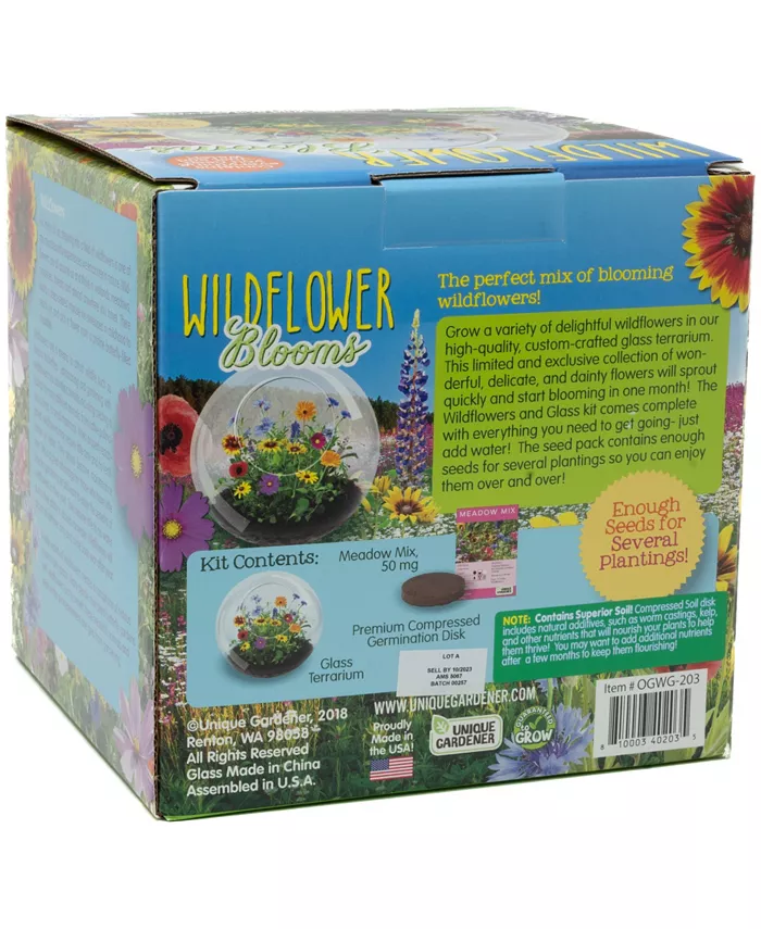 Areyougame Unique Gardener Glass Terrarium Wildflower Blooms Plant Kit