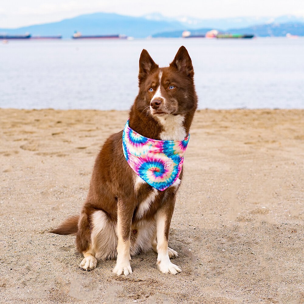 Canada Pooch Tie Dye Cooling Dog Bandana