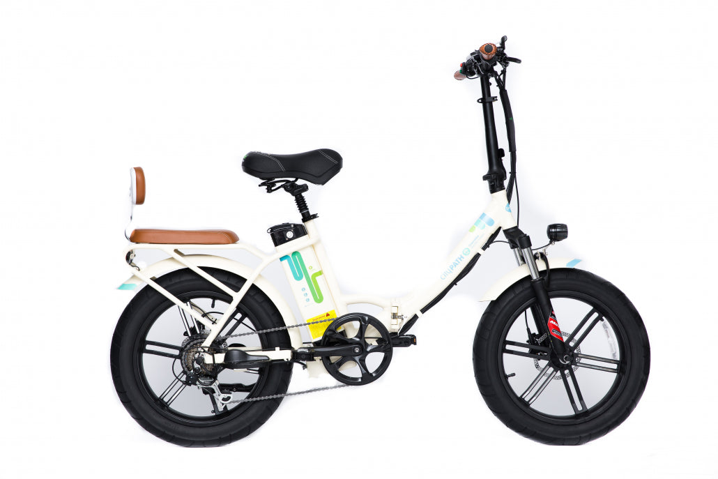 Green Bike Electric City Path Step Thru Fat Tire Folding Ebike 750W