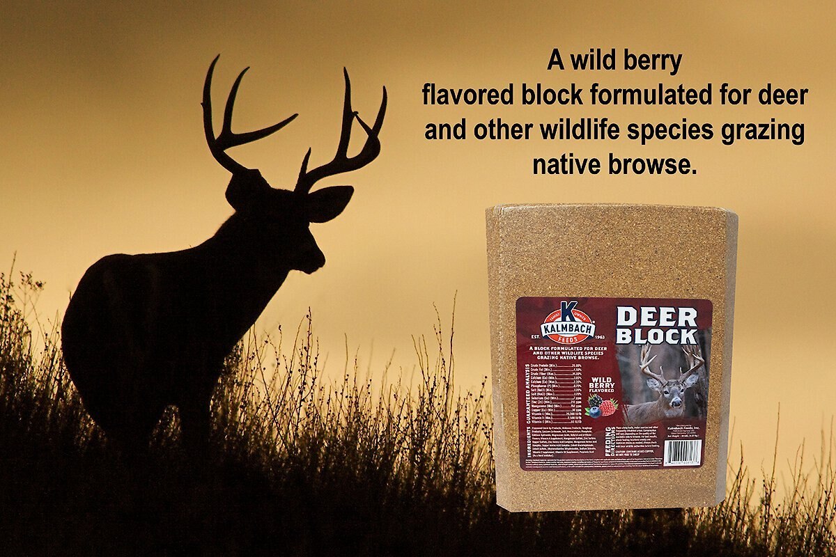 Kalmbach Feeds Wild Berry Flavored Deer Block， 30-lb block