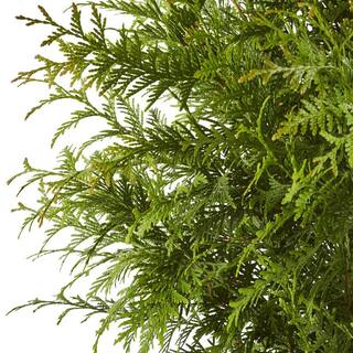 7 Gal. Green Giant Arborvitae (Thuja) Live Evergreen Shrub 15601