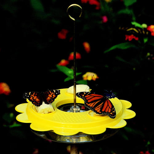 Birds Choice 12 Oz. Flutterby Butterfly Hummingbird Feeder