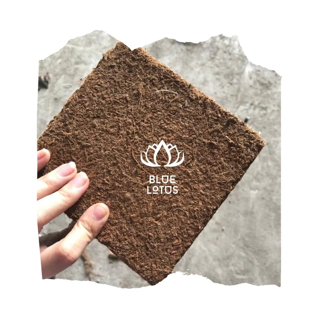 Top Grade Peat Moss Coconut Coir Pellets Seedling Soil Block 5kg Coco Peat From Viet Nam Garden Plants