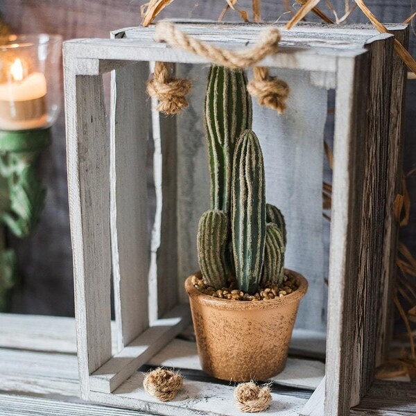 RusticReach Artificial Cactus in Brown Pot