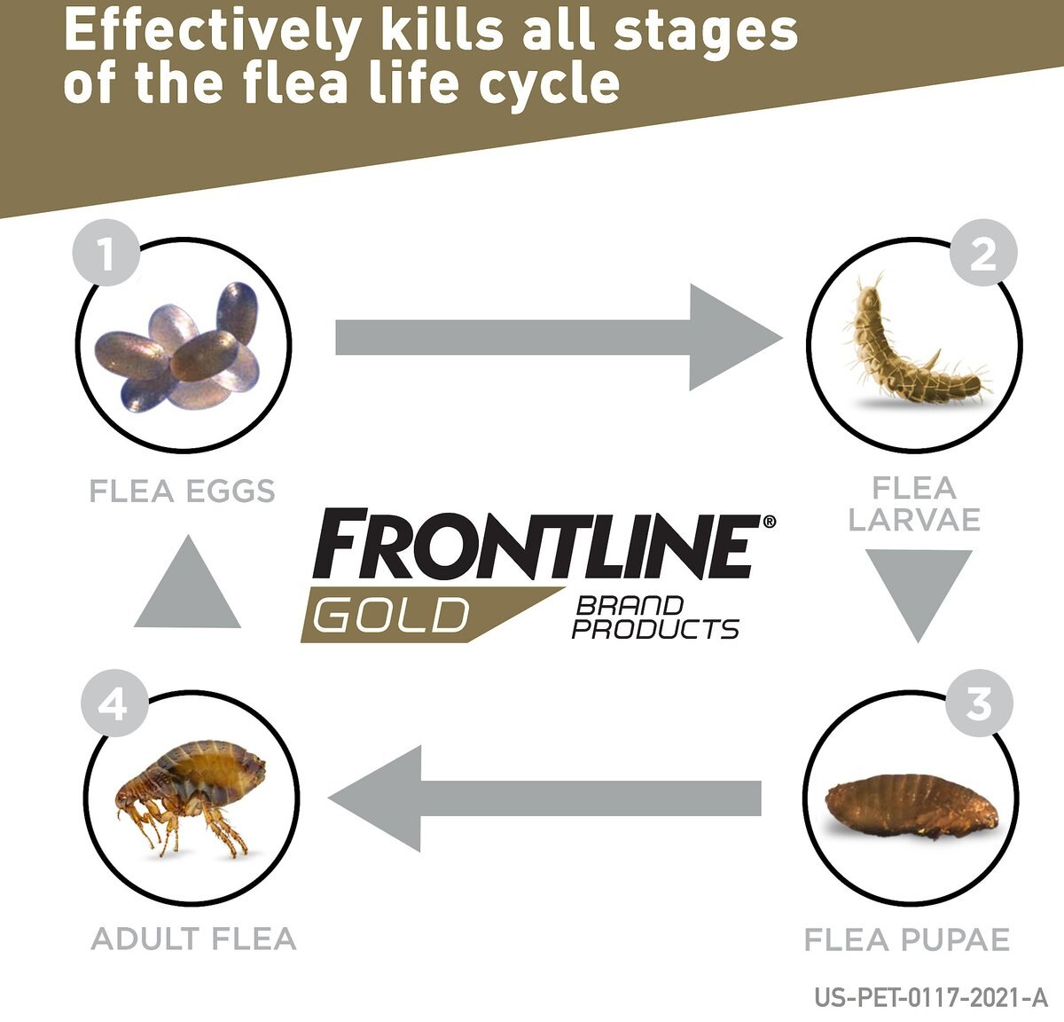 Frontline Gold Flea and Tick Treatment for Small Dogs， 5-22 lbs