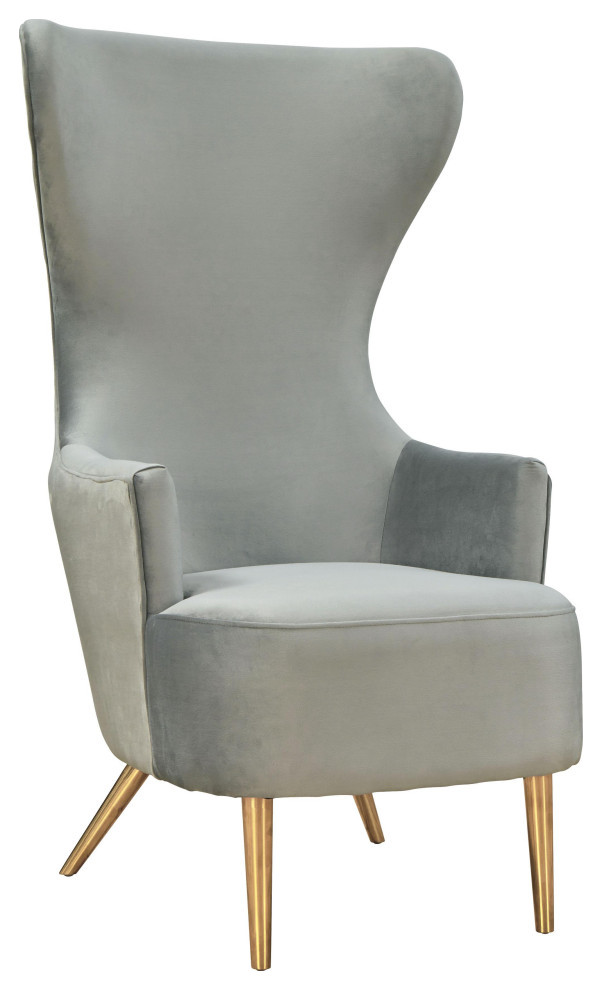 Julia Velvet Wingback Chair   Midcentury   Armchairs And Accent Chairs   by TOV Furniture  Houzz