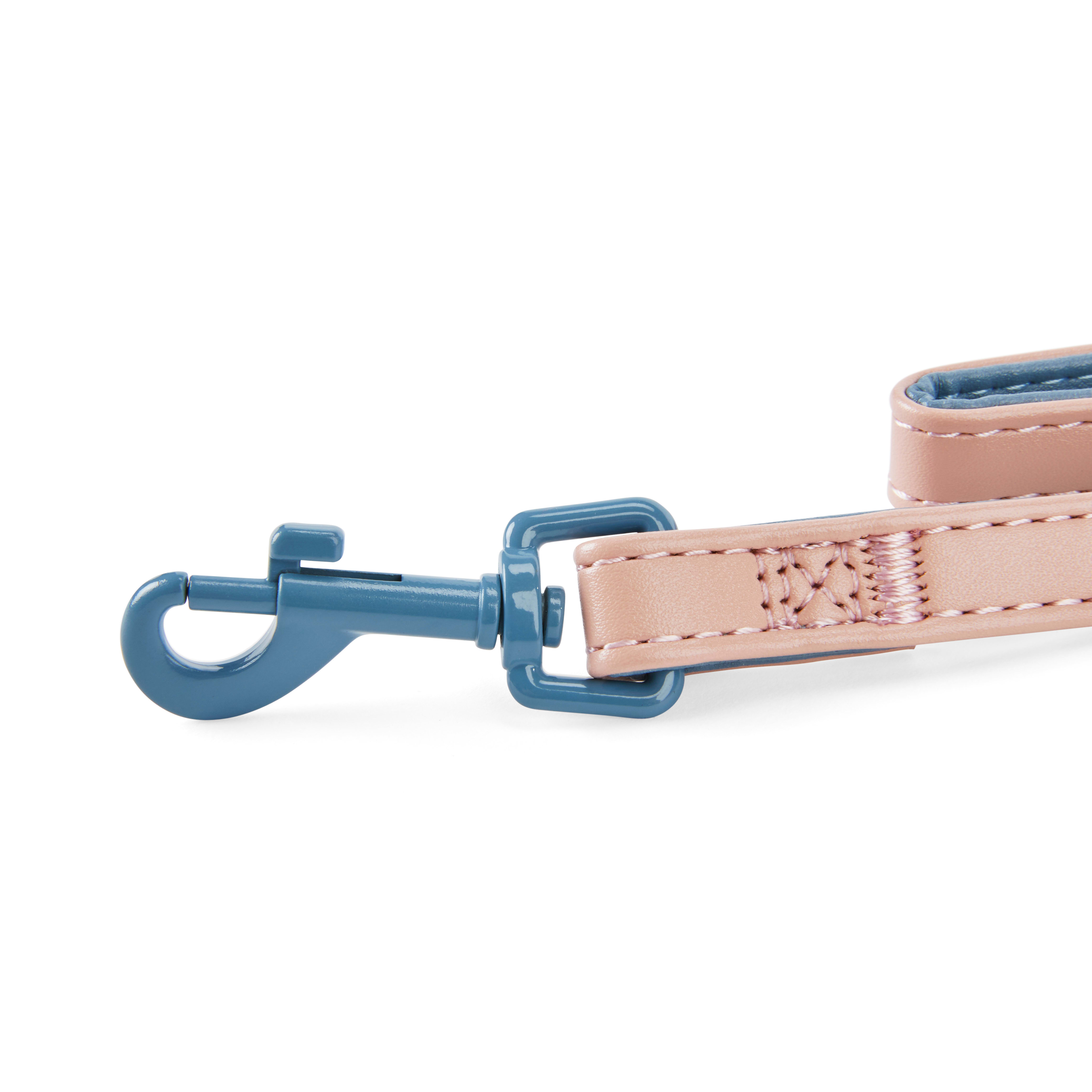 YOULY The Heir Pink  Blue Small Dog Leash， 4 ft.