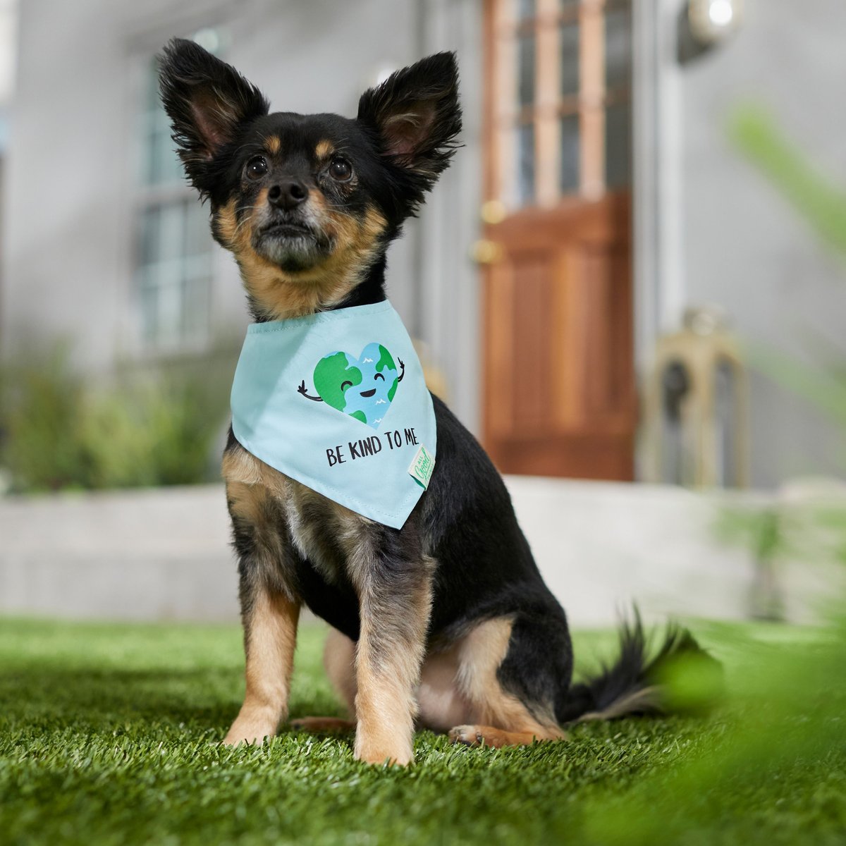 All Good Things Be Kind to Me Dog Bandana， Blue