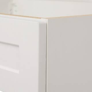 Home Decorators Collection Thornbriar 30 in. W x 21 in. D Bathroom Vanity Cabinet in Polar White TB3021-WH