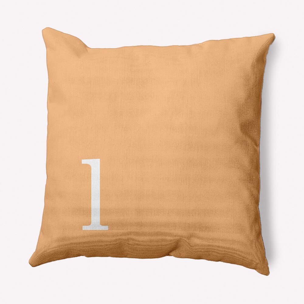 Modern Monogram Indoor/Outdoor Throw Pillow L