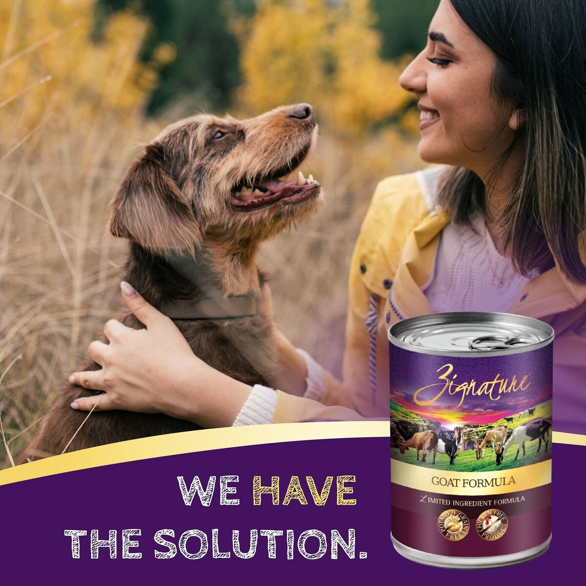 Zignature Goat Limited Ingredient Formula Canned Dog Food