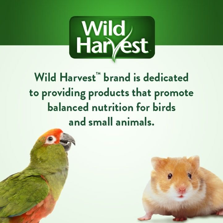 Wild Harvest Healthy Benefits Sprout Blend Large Bird Treats， 2.5-oz bag