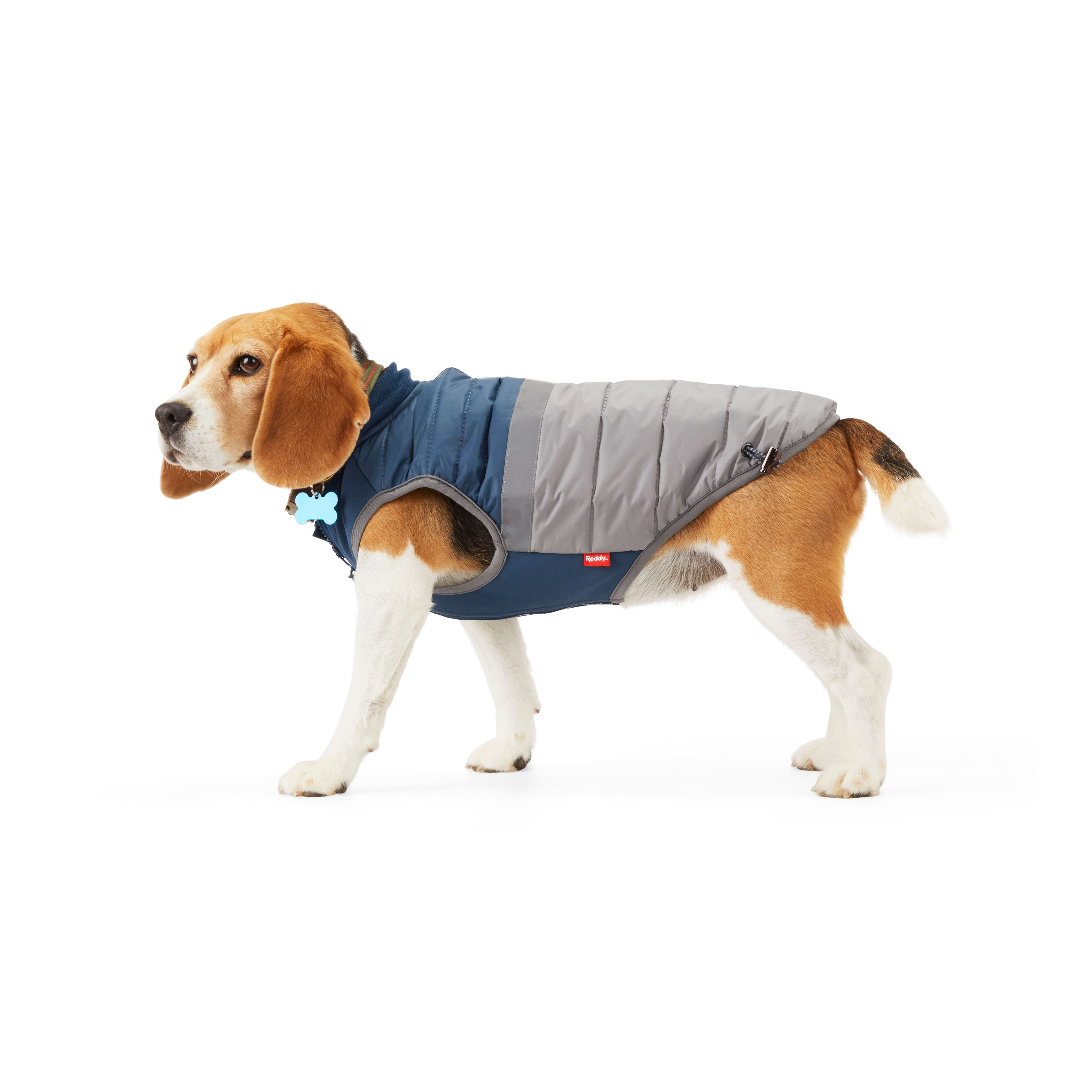 Reddy PrimaLoft Lightweight Insulation Grey Dog Puffer Jacket， X-Small