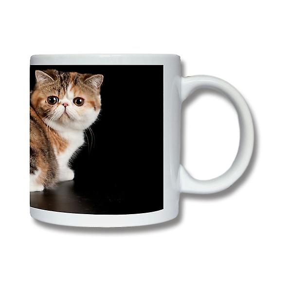 Cat Exotic Mug