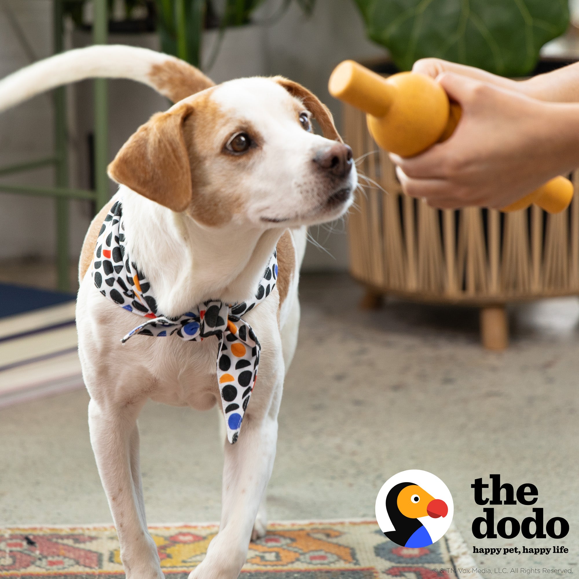 The Dodo Bamboo Dental Chew Toy in Chicken Flavor