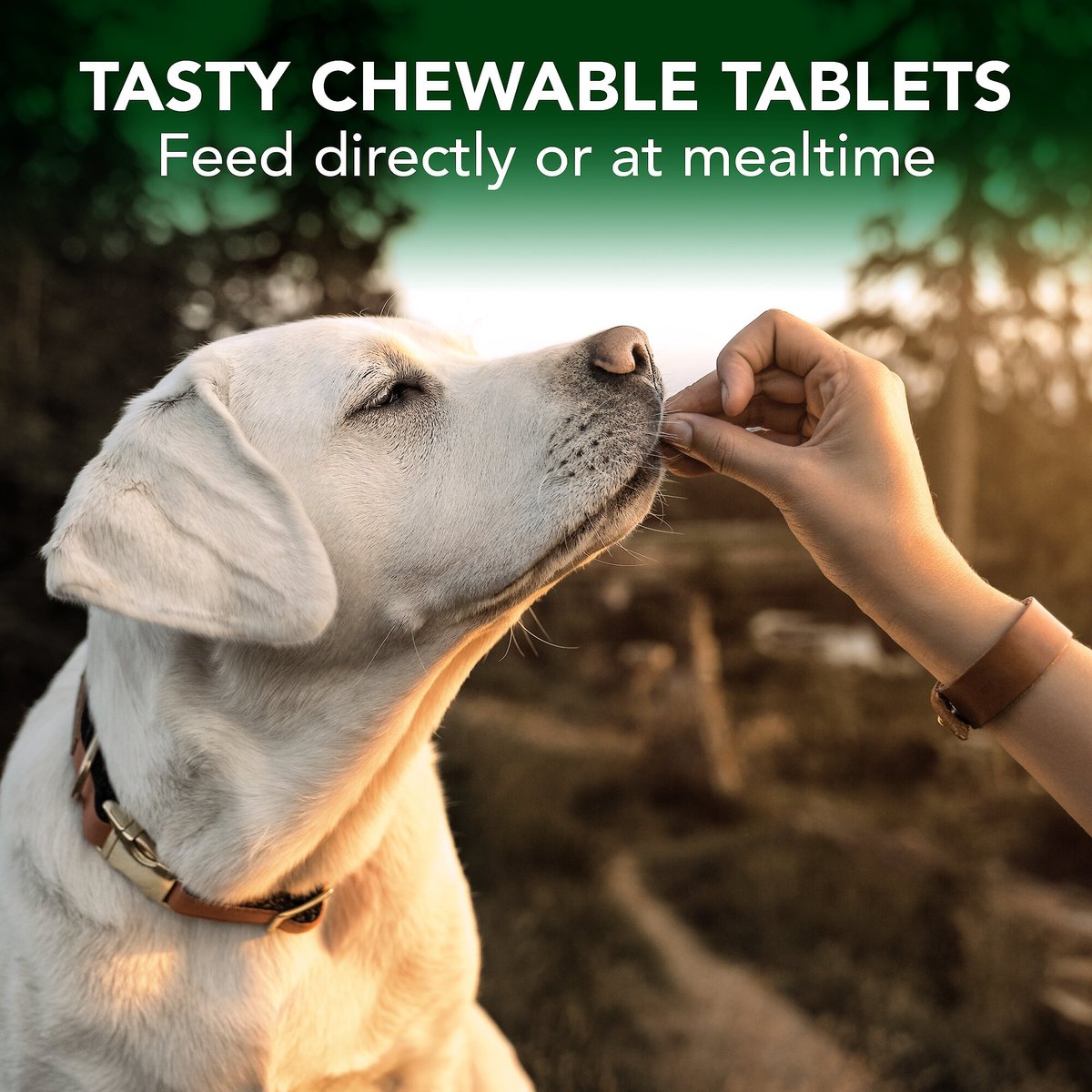 Vet's Best Chewable Tablets Allergy Supplement for Dogs