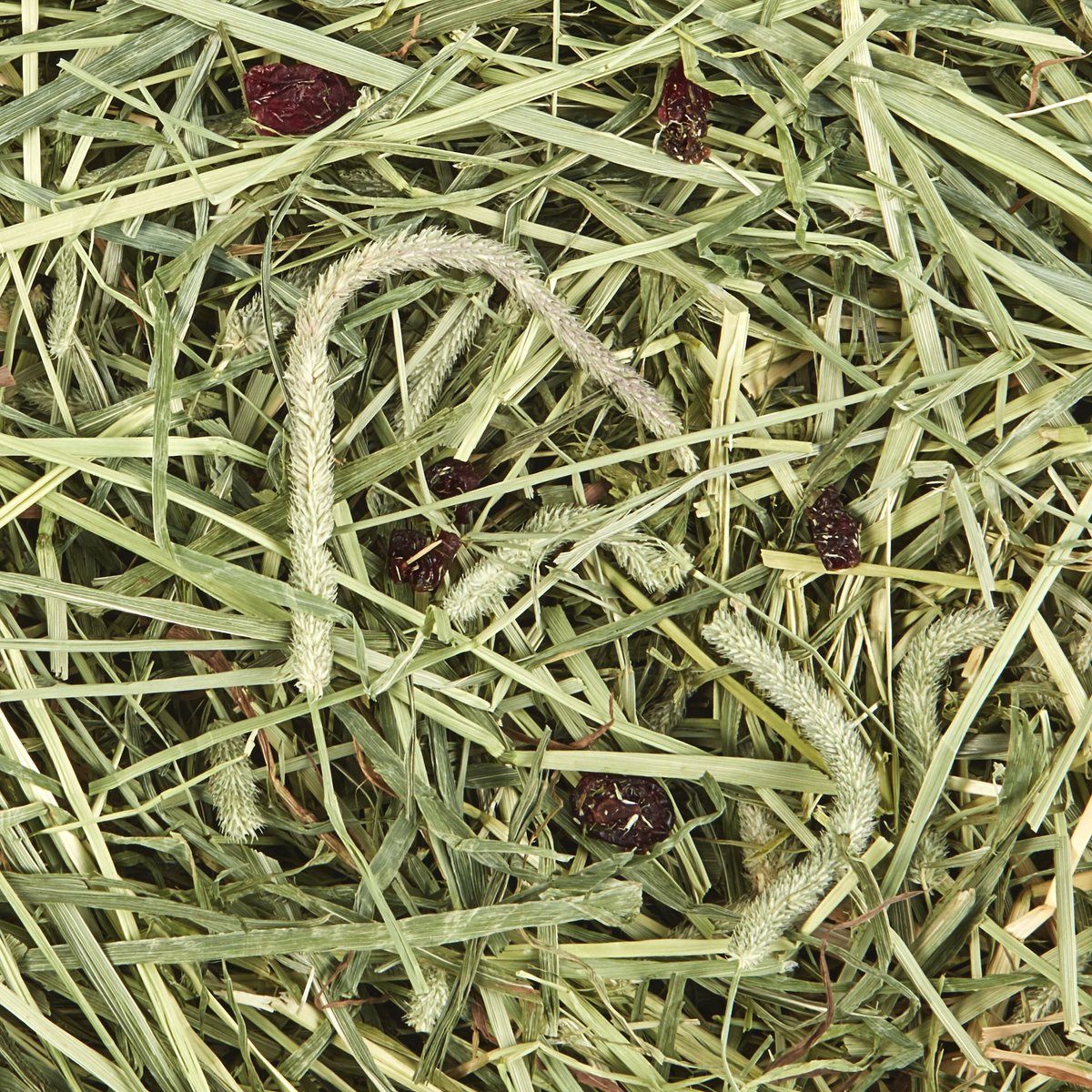 Kaytee Timothy Hay Plus Cranberries Small Animal Treat