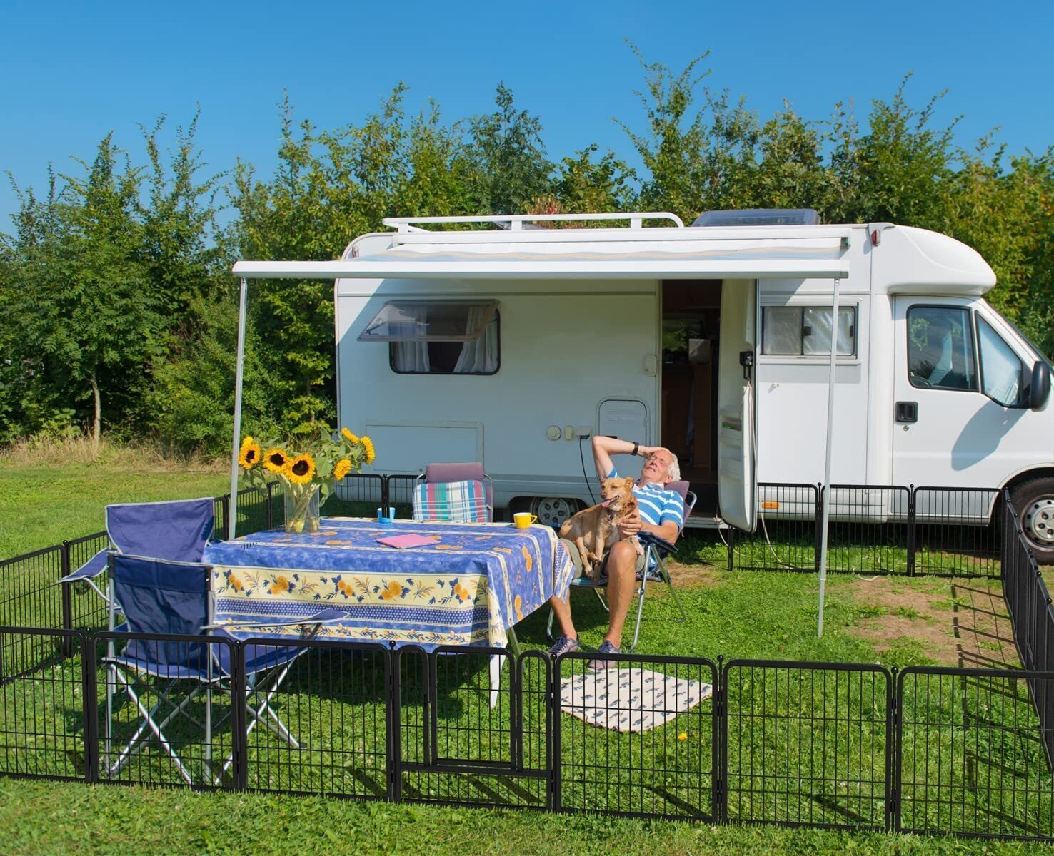 🐱Pet protection fence🐶🏞️