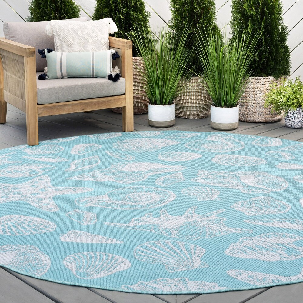 Exo Coastal Graphic Print Indoor/Outdoor Area Rug