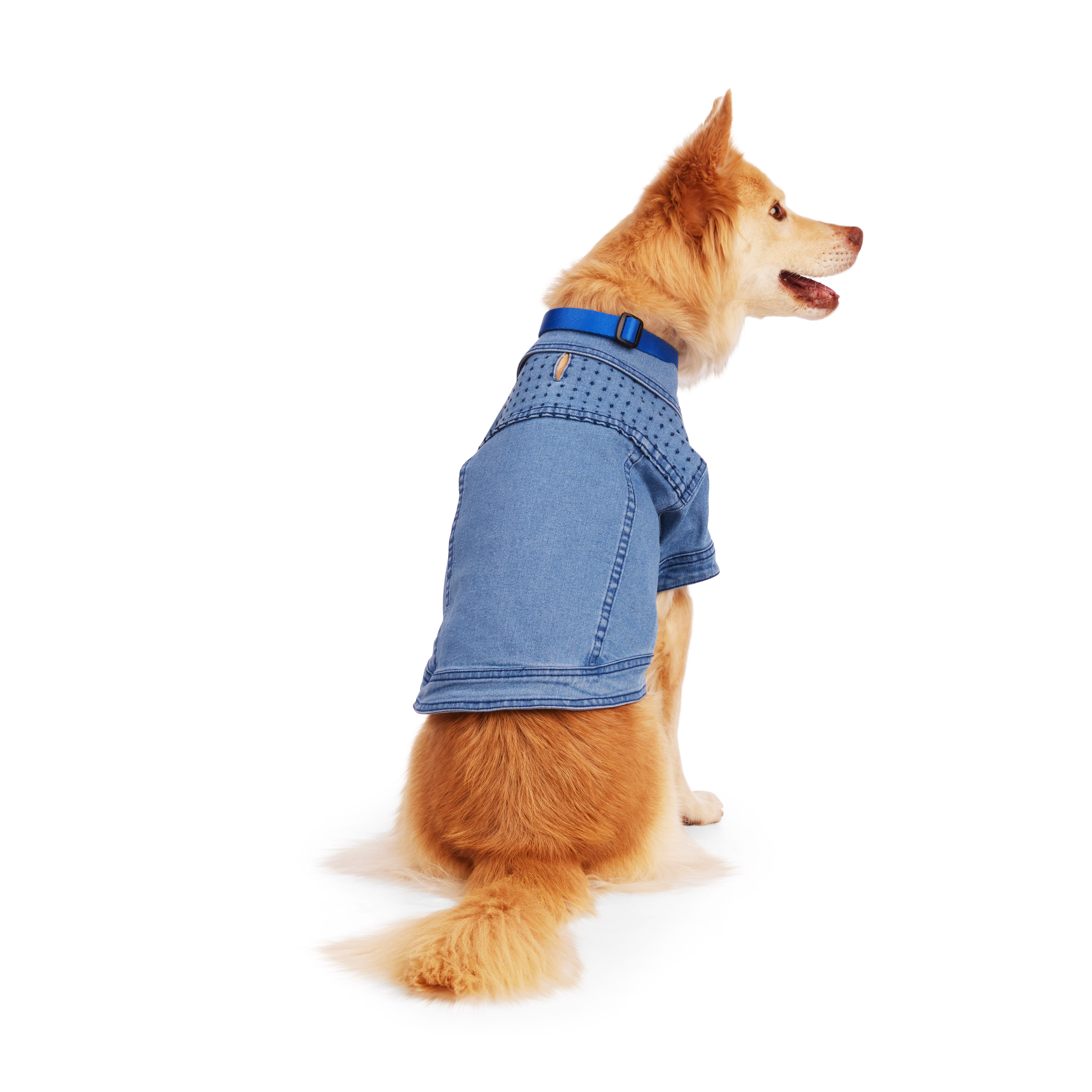 YOULY Blue Denim Jacket for Dogs， XX-Small