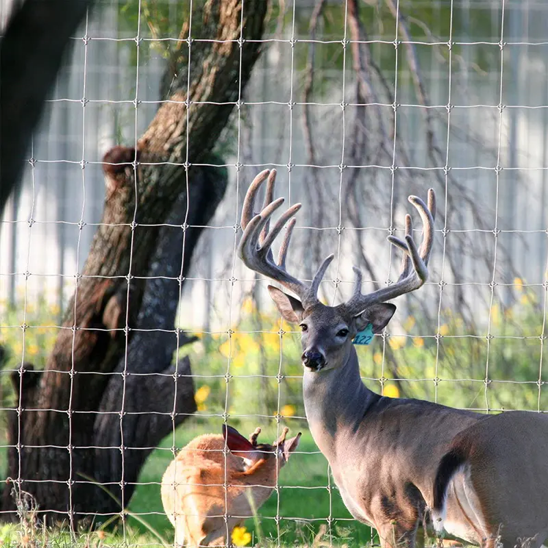 Factory supply best price hinge joint field fence goat farming grassland cheap field fence for sale