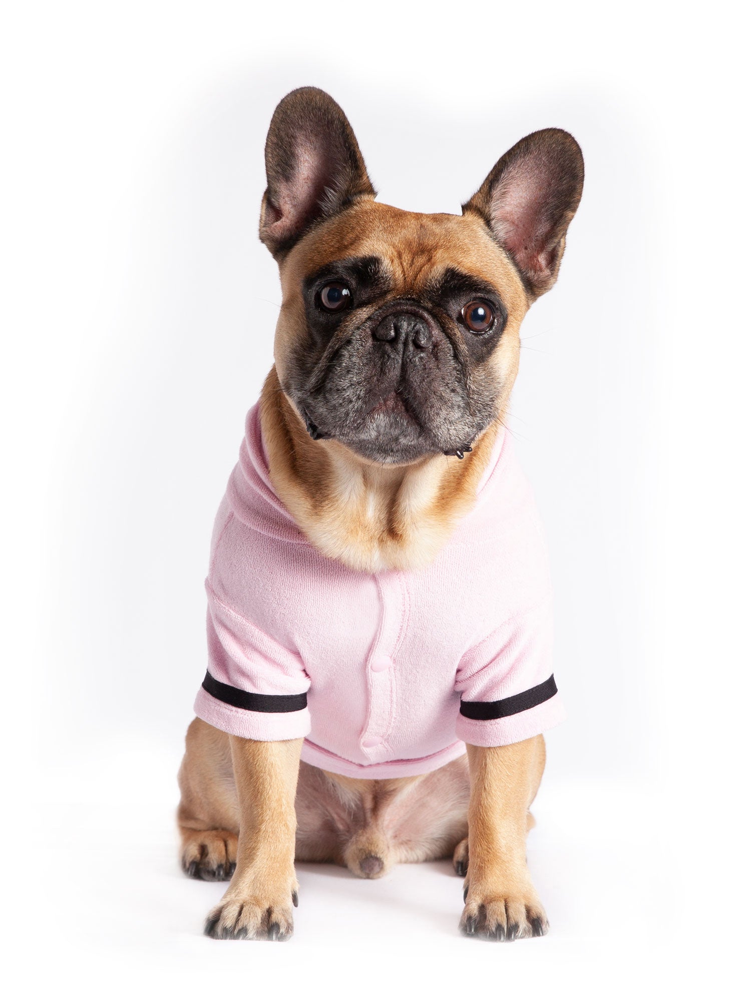 Coco + Rebel Pink Dog Robe