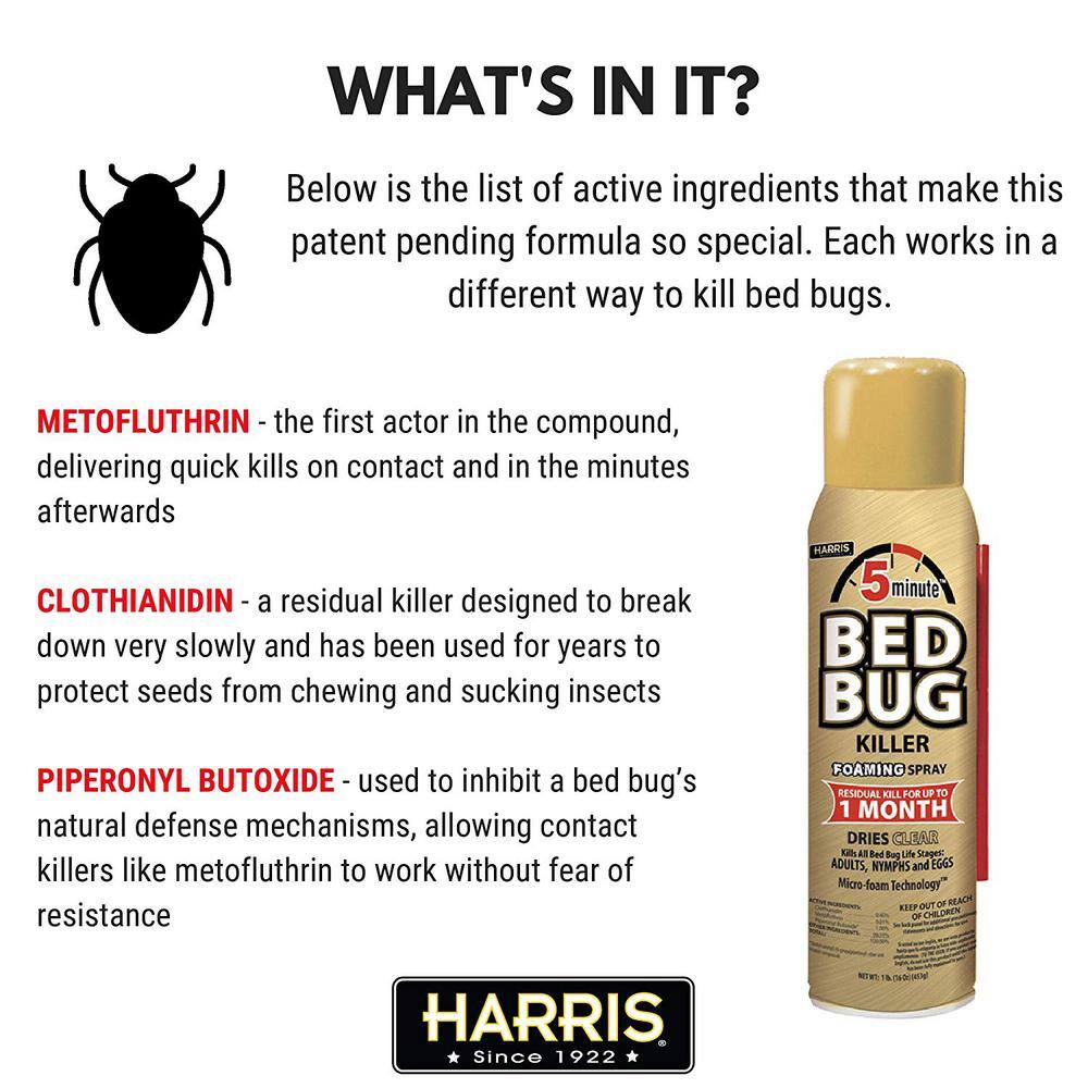 Harris 16 oz. 5-Minute Bed Bug Killer Foaming SprayKills All Life Stages (3-Pack) 3GOLDBB-16A