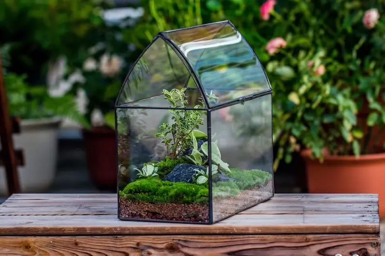 glass terrariums for plants kits Vintage Kit Globe Vase Ins Terrarium supplies terrarium plants live kit for gift