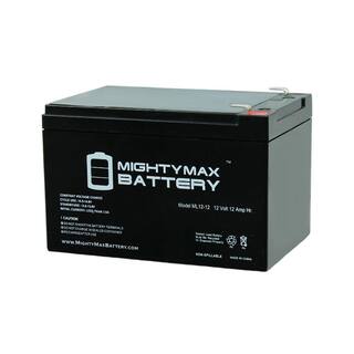 MIGHTY MAX BATTERY 12-Volt 12 Ah Sealed Lead Acid Rechargeable Battery (10-Pack) ML12-12F2MP10