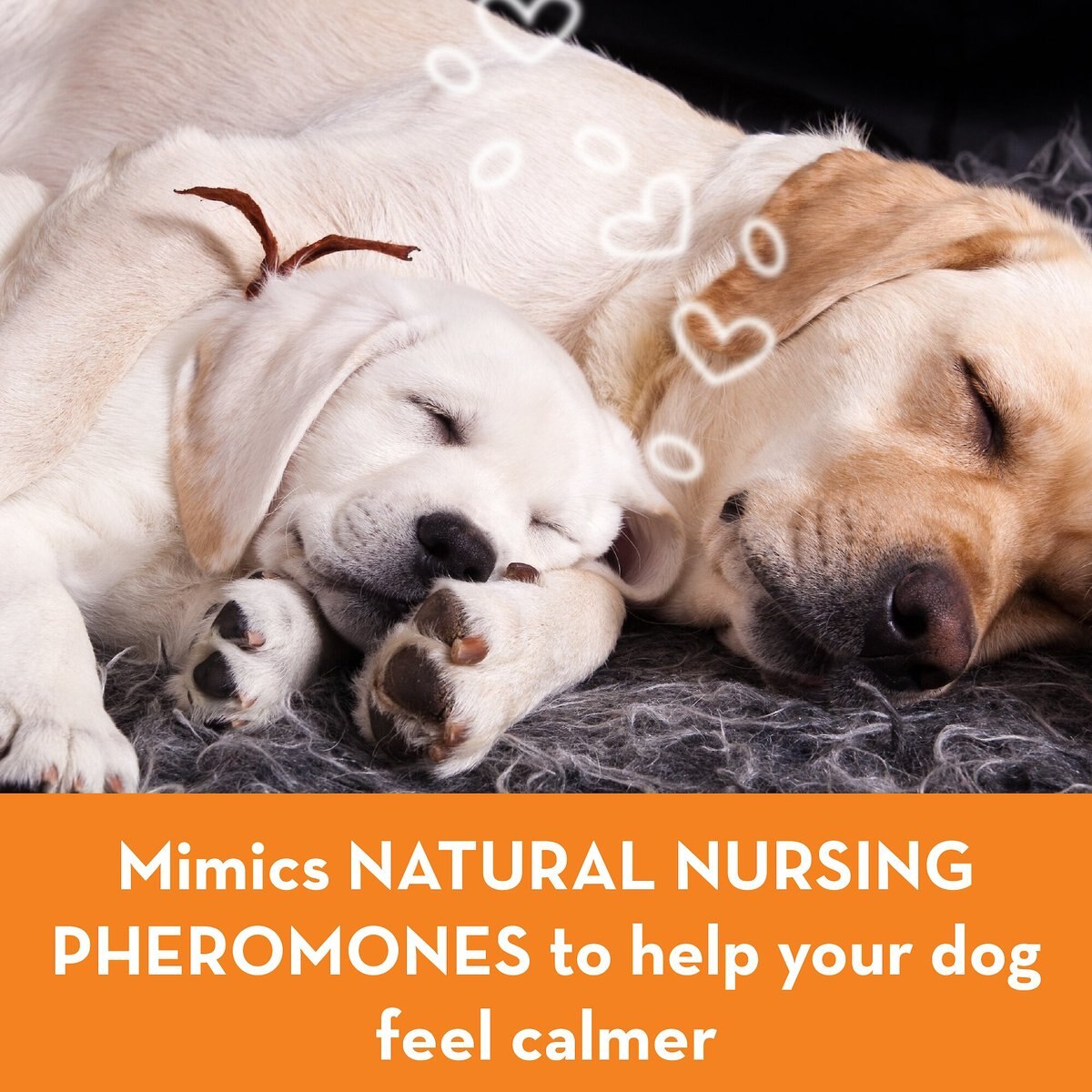 ThunderEase Pheromone Calming Spray for Dogs