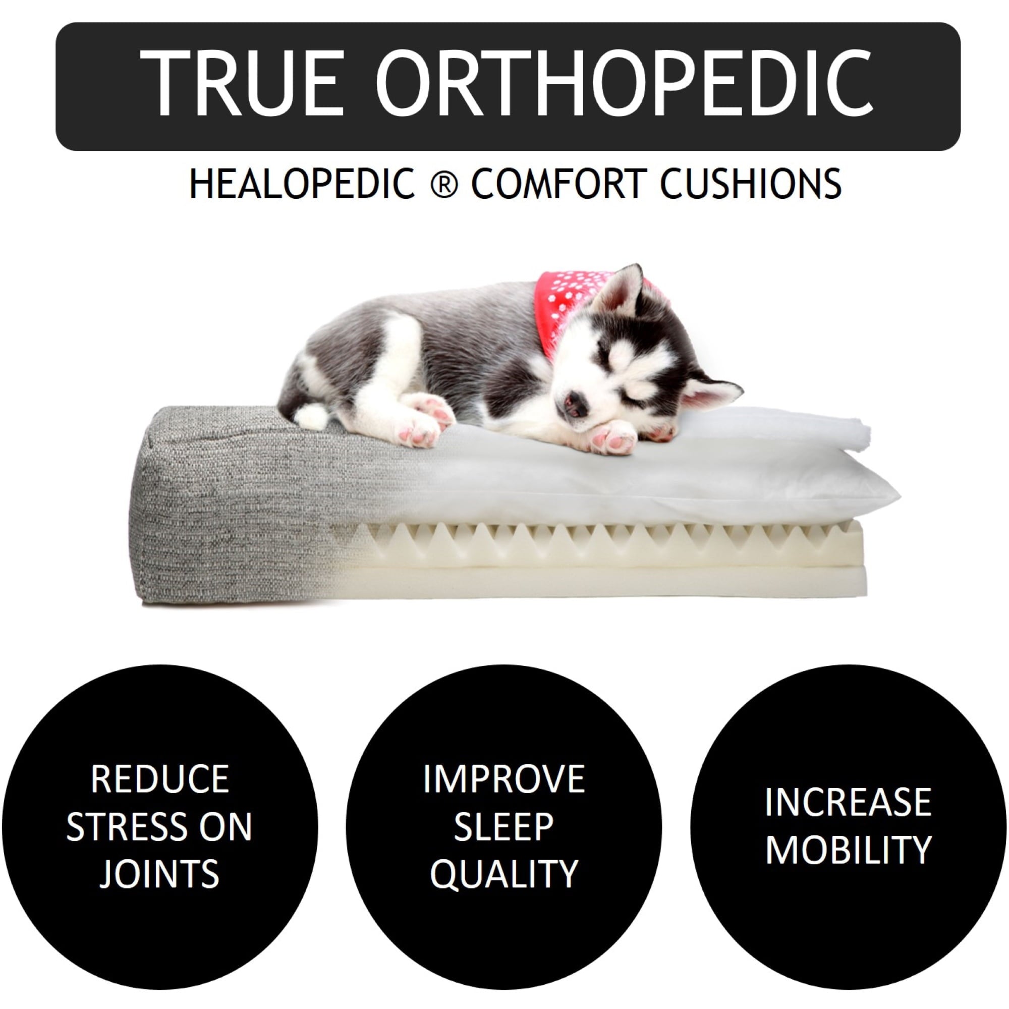 Club Nine Pets Metro Orthopedic dog Bed， Large， Grey.