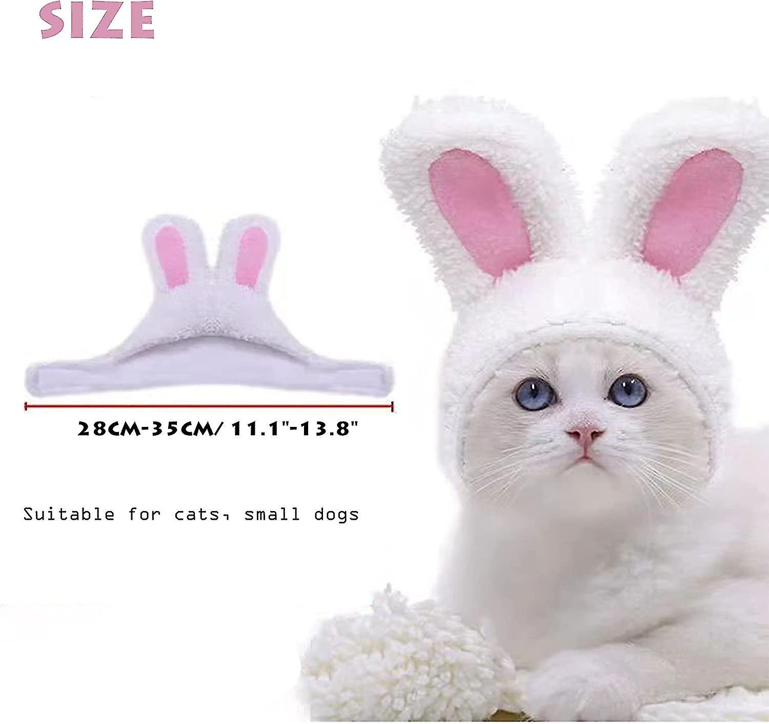 Bunny Ear Cat Hat，pet Headgear Adjustable Pet Headband For Kitten Puppy