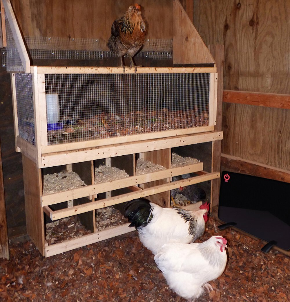 Cozy Products Flat Panel Chicken Coop Heater