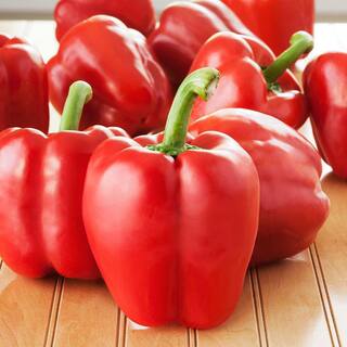 Bonnie Plants 6PK Pepper - Red Bell 2101