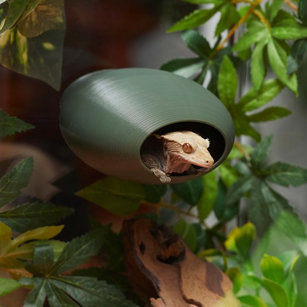 Stroodies BubbleLoft Gecko Hideout， Regular/Adult