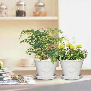 Southern Patio Lorna Small 8 in. x 6 in. 3 Qt. Pearl White Ceramic Indoor Pot (2-Pack) CRM-030928P2