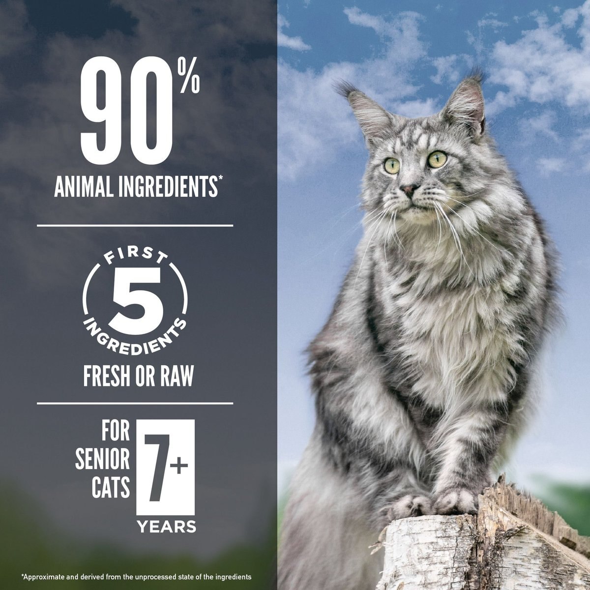 ORIJEN Guardian Senior 7+ Grain-Free Dry Cat Food