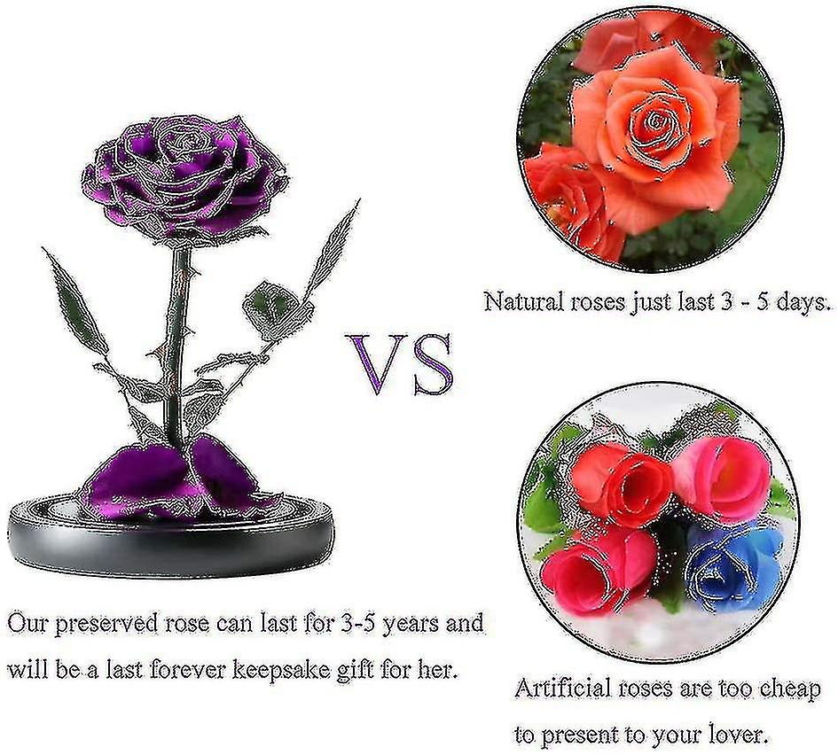 Preserved Real Rose Eternal Rose In Glass Dome Gift For Her Thanksgiving Christmas Valentine's Day B