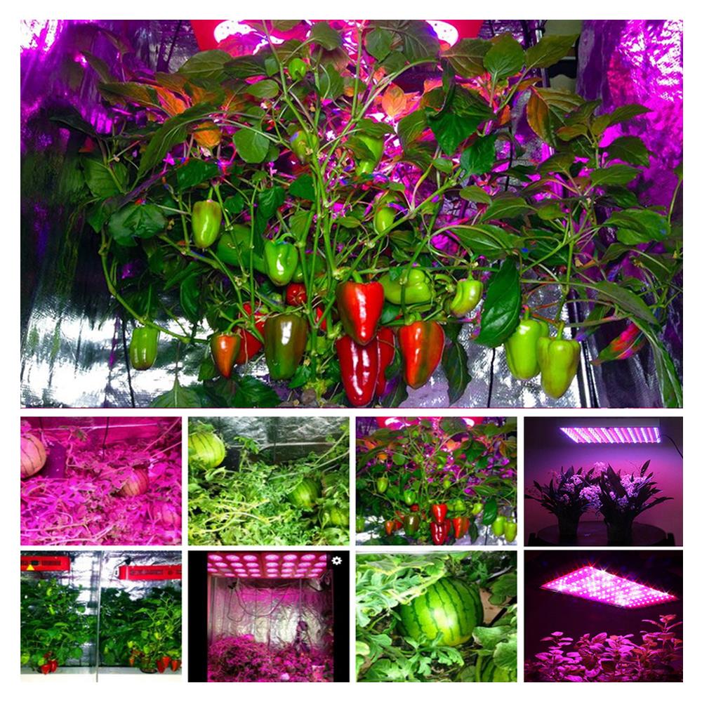 Zimtown 1200W Double Chips LED Grow Light Full Spectrum Panel Veg Flower Indoor Garden Medical Plants