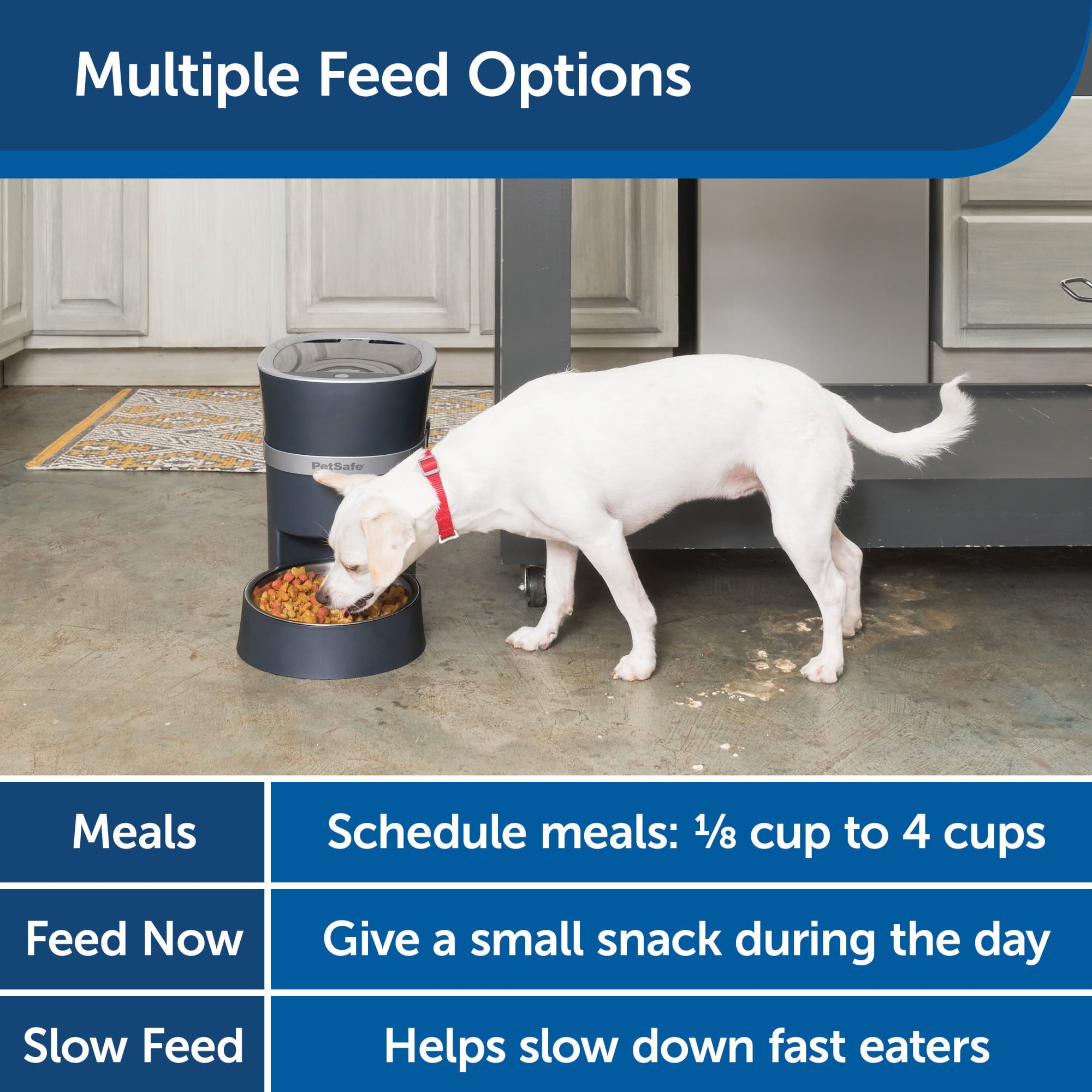 PetSafe Smart Feed Automatic Feeder for Dogs and Cats， 2nd Generation