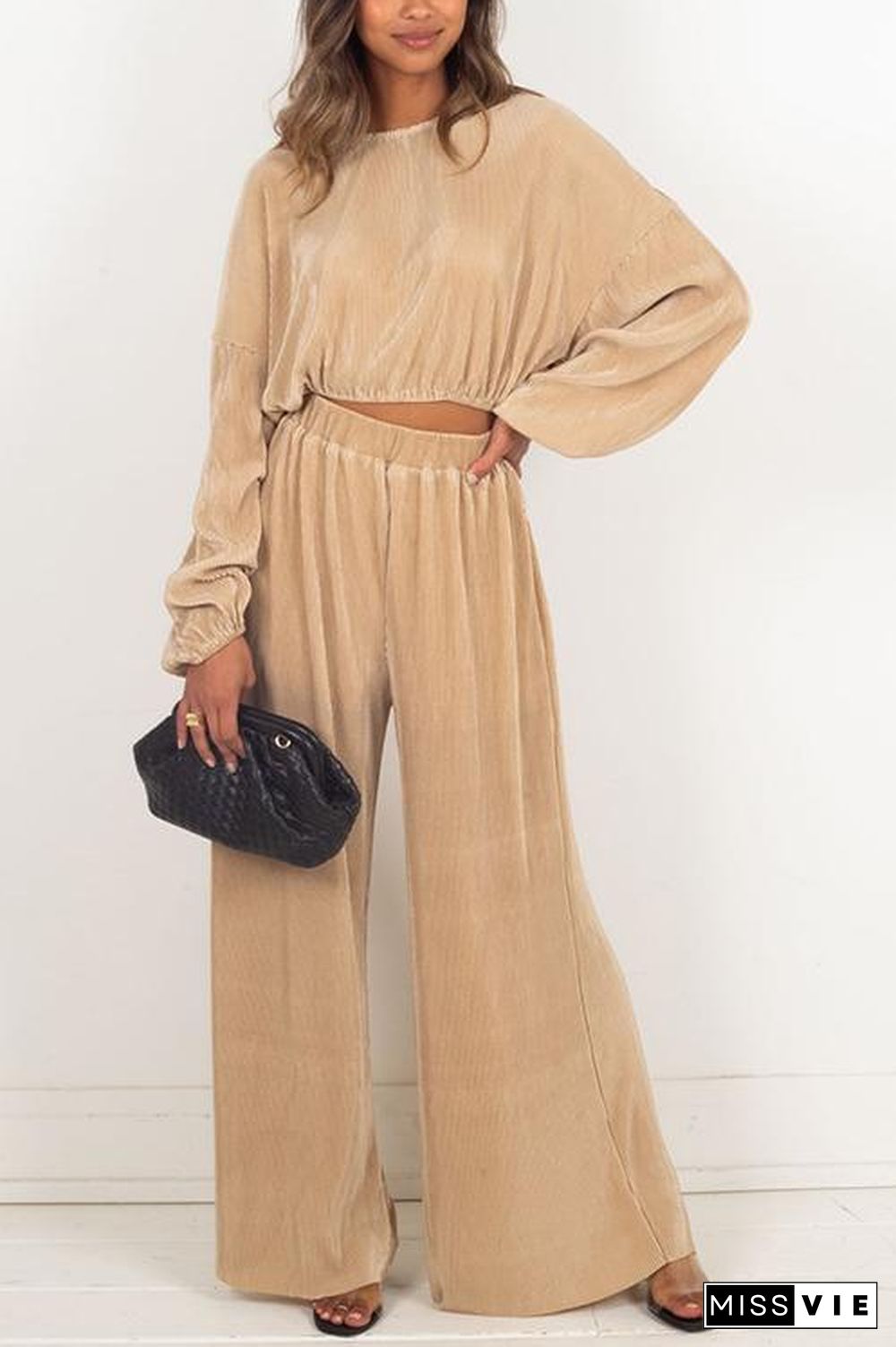 Pleated Crop Blouse Wide Leg Pants Set