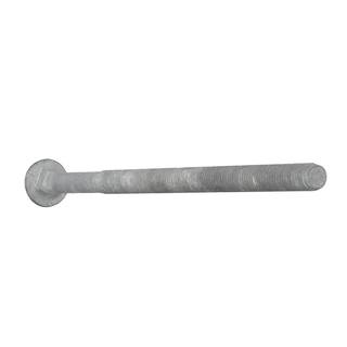 Everbilt 38 in.-16 x 8 in. Galvanized Carriage Bolt (25-Pack) 06020