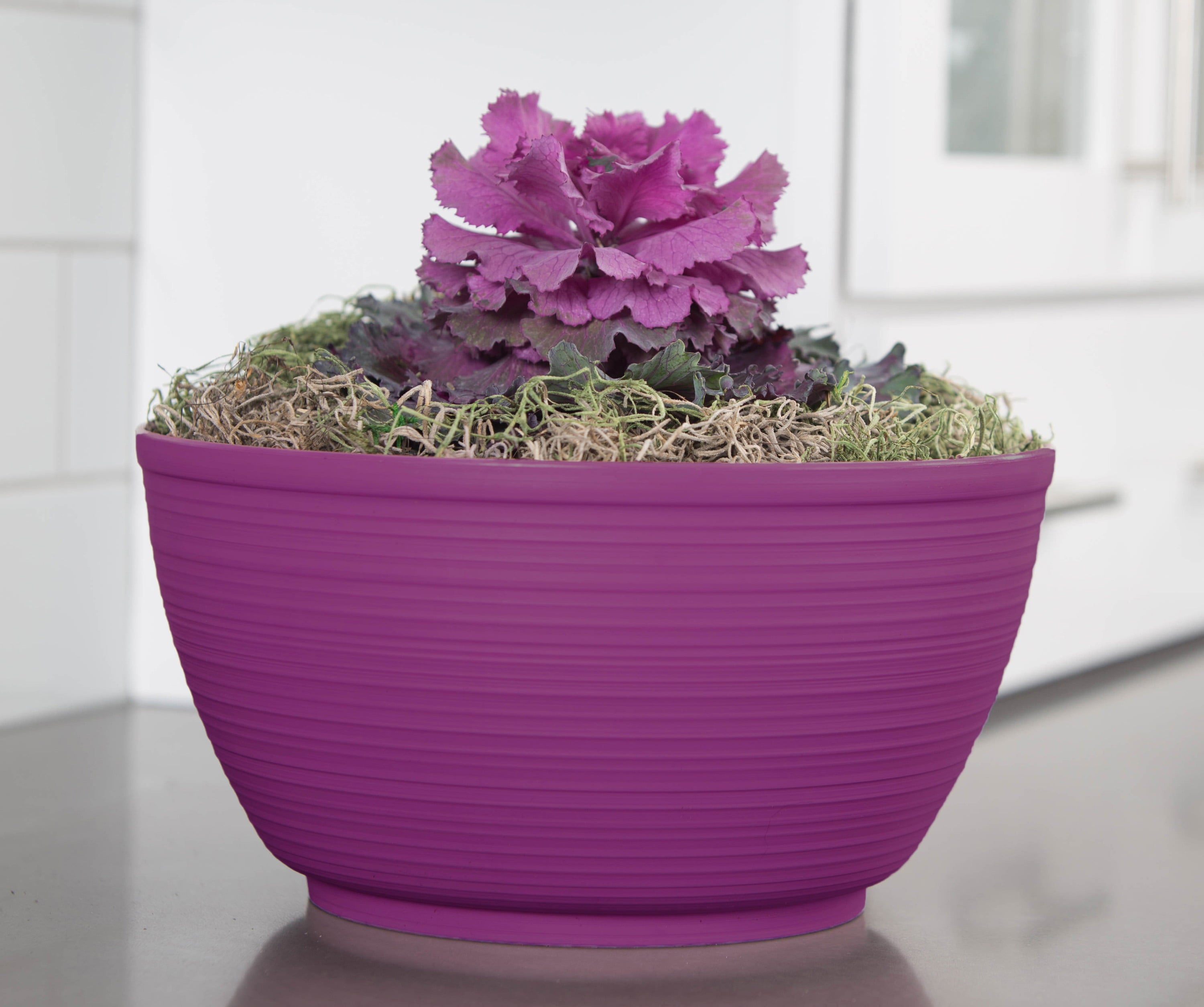 Bloem 15" x 15" x 8" Bowl Charcoal and Gray Plastic, Resin, Polyethylene and Polypropylene Plant Planter