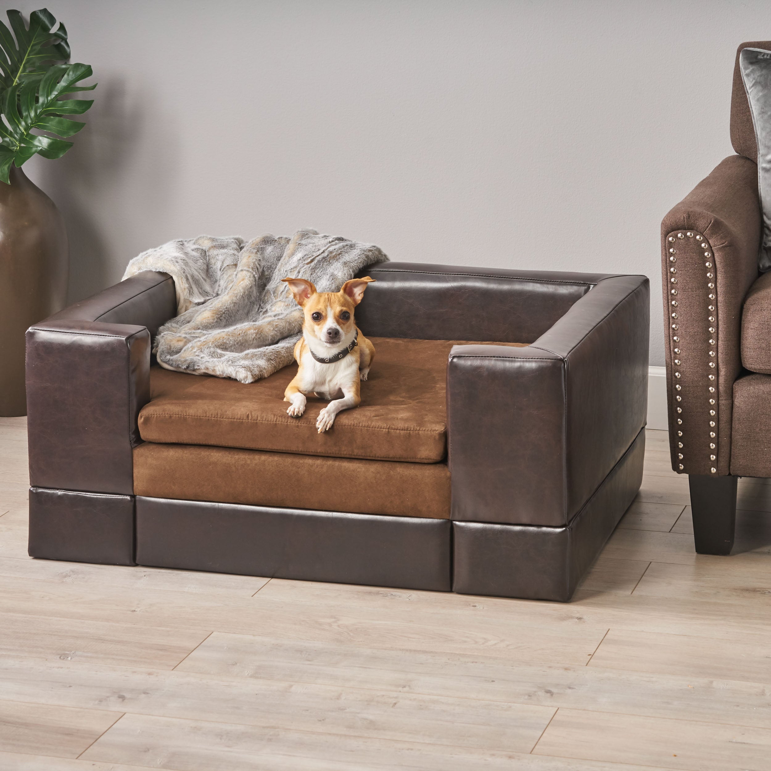 Rover Contemporary Leather Cushioned Frame Dog Bed